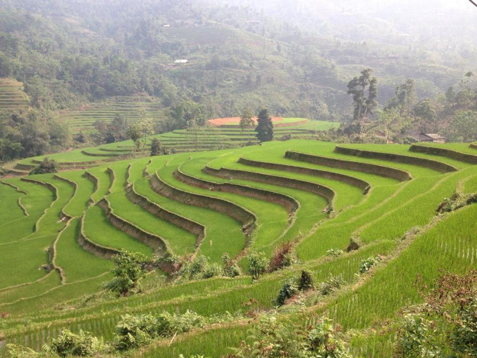 Ngan Nga Bac Ha Hotel Екстер'єр фото